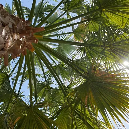 Mallis In Chorto, Pelion Khorto