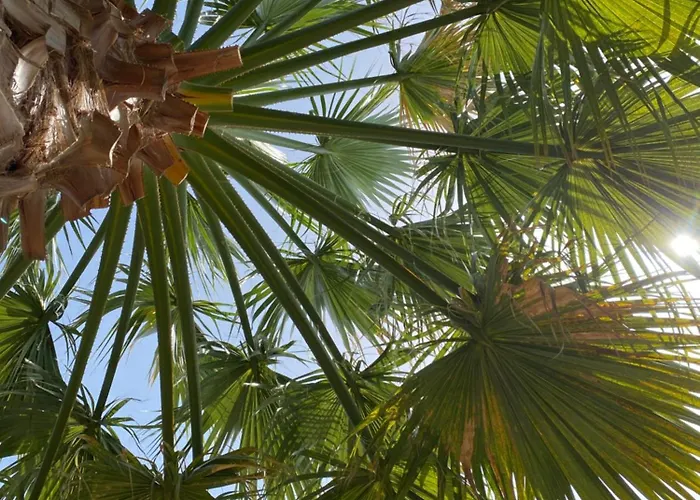 Mallis In Chorto, Pelion Χόρτο