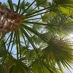 Mallis In Chorto, Pelion Chorto