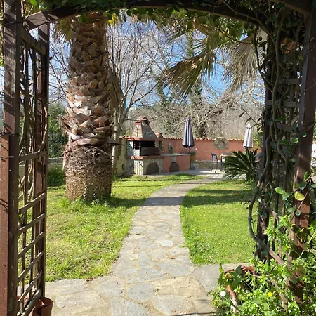 Mallis In Chorto, Pelion * チョルト