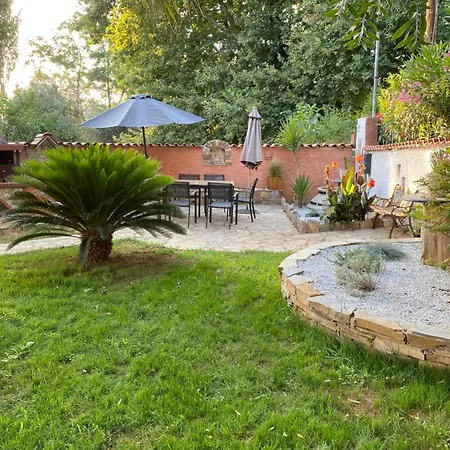 Mallis In Chorto, Pelion * Chorto