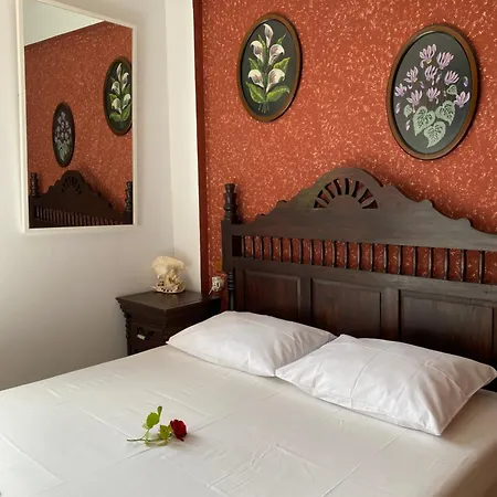 Apartment Mallis In Chorto, Pelion Chorto